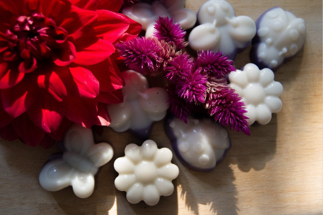 Blueberry & Vanilla Nature Themed Melts